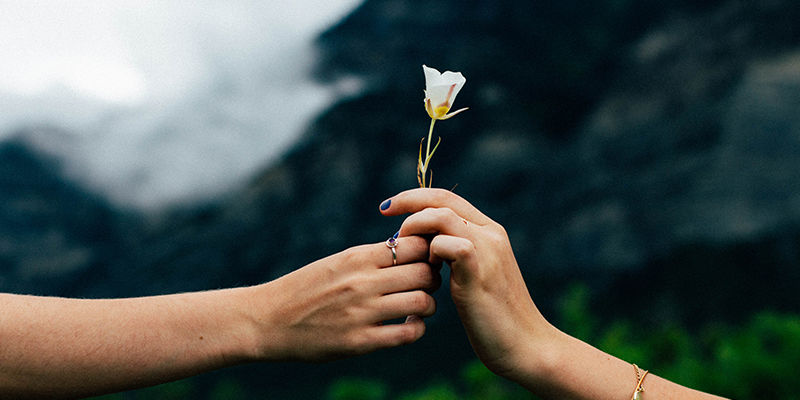 button_flower_give_800x400.jpg